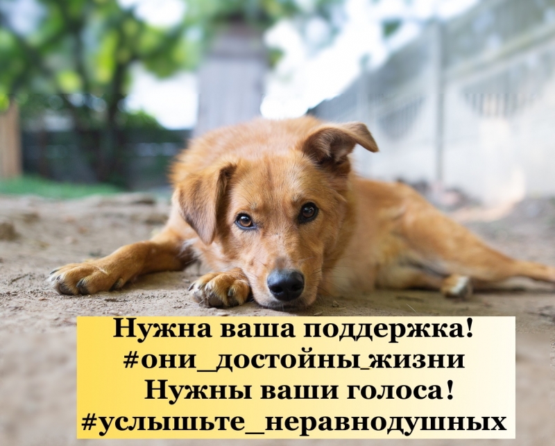 #__ #_