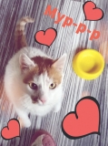  ""
